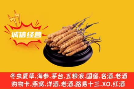 商洛市丹凤回收冬虫夏草